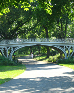 Be Your Bliss Meryl Chodosh-Weiss